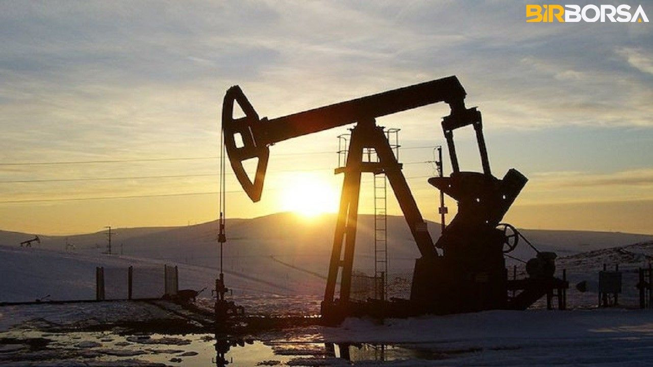 Adana’da petrolün değeri ortalama 1 milyar dolar! - Resim: 1