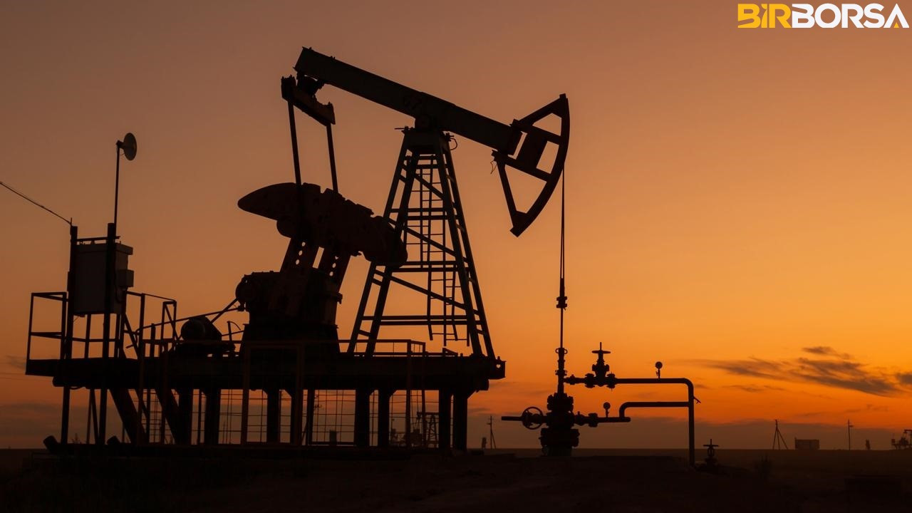 Adana’da bulunan petrol hangi hisseler etkiler?